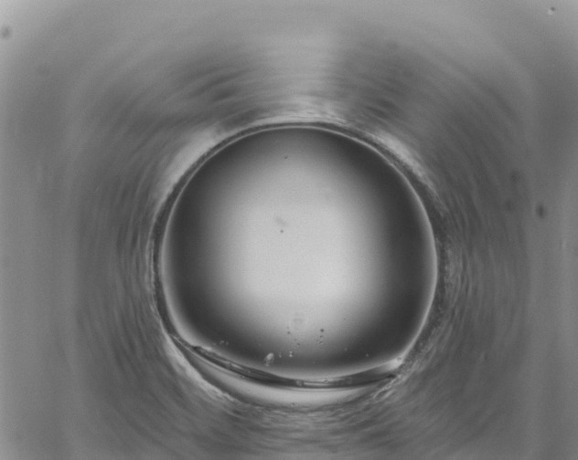 X0000061151468200511210949