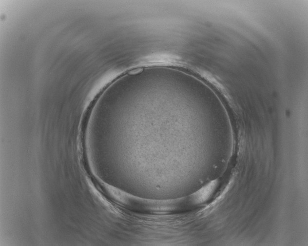 X0000061151469200511210949