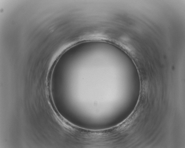 X0000061151470200511210949