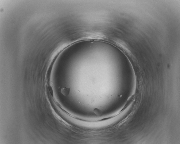 X0000061151471200511210949