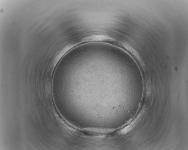 X0000061151473200511210949