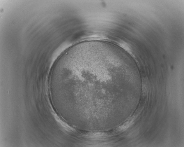 X0000061151474200511210949