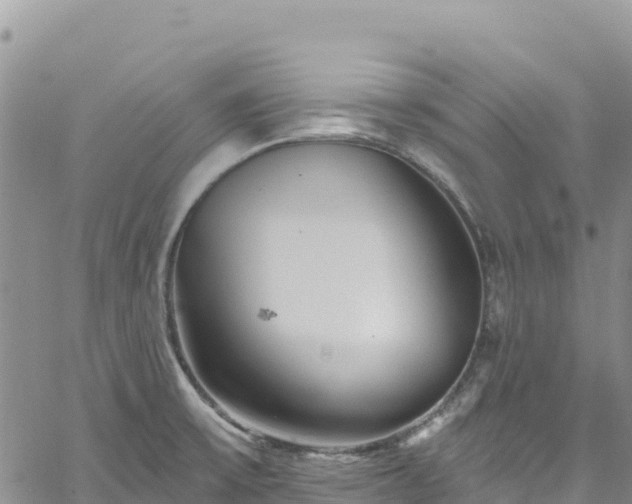 X0000061151475200511210949