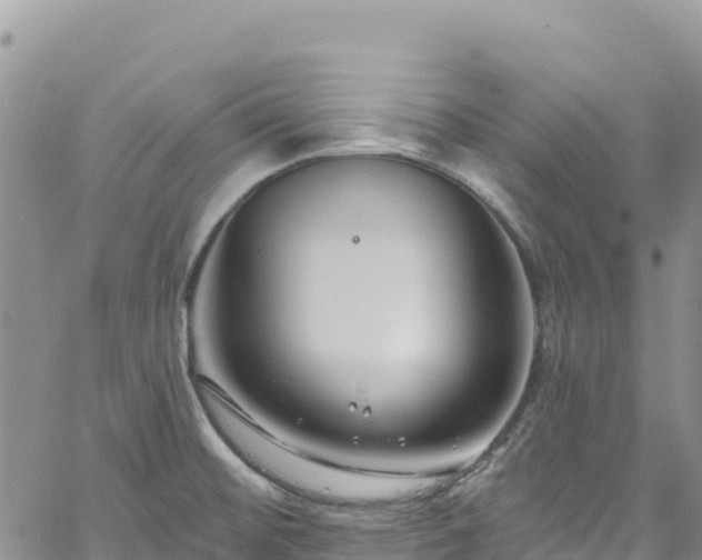 X0000061151476200511210949