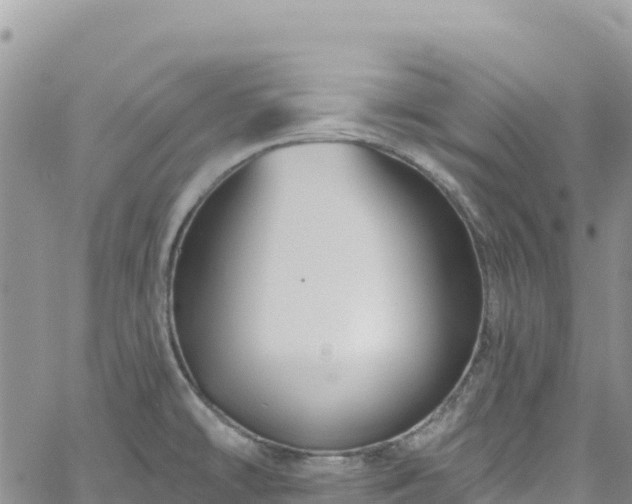 X0000061151478200511210949