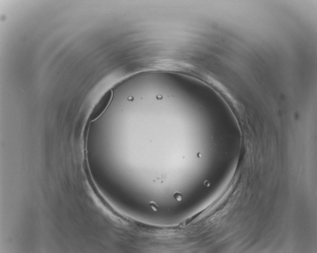 X0000061151479200511210949