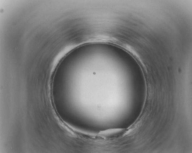 X0000061151480200511210948