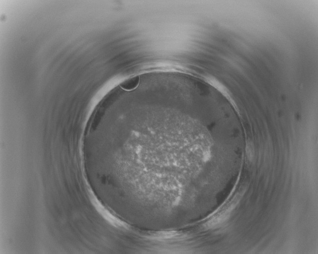 X0000061151482200511210948