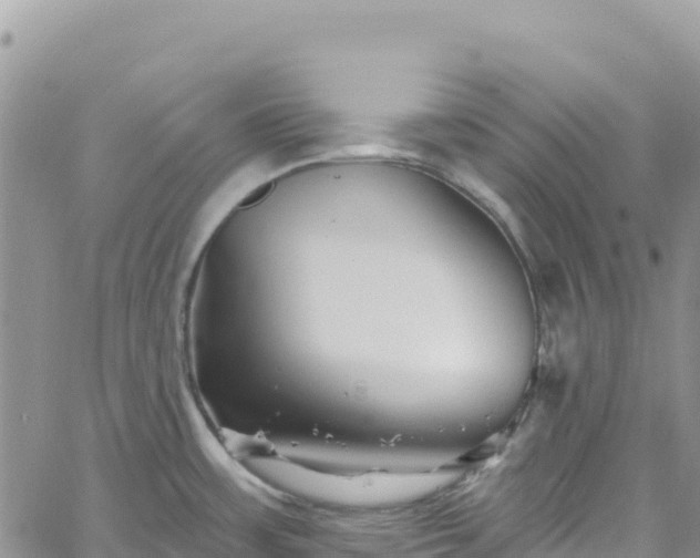 X0000061151483200511210948