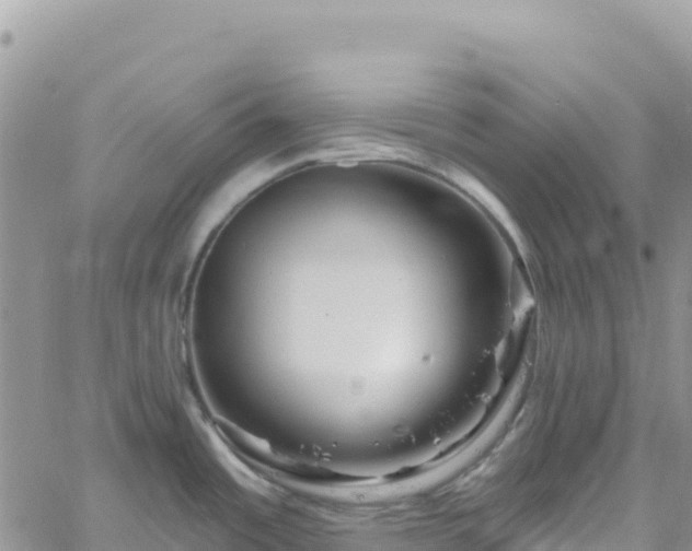 X0000061151485200511210948