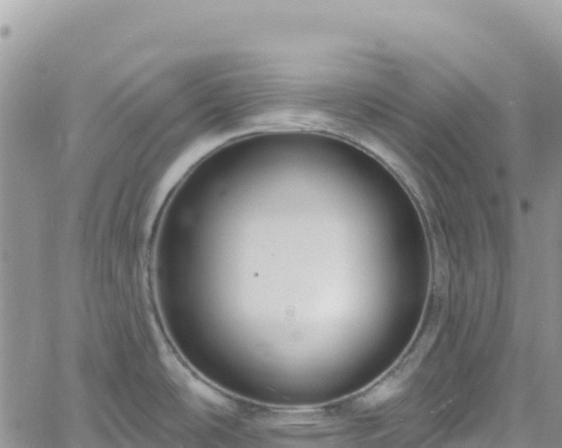 X0000061151486200511210948