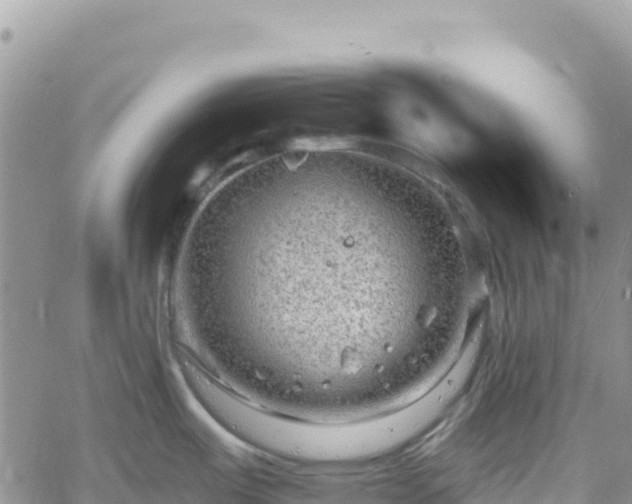 X0000061151487200511210948