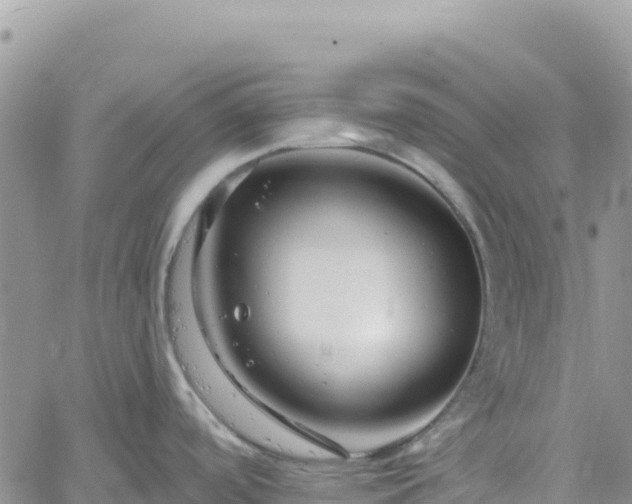 X0000061151488200511210948