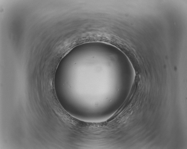 X0000061151489200511210948