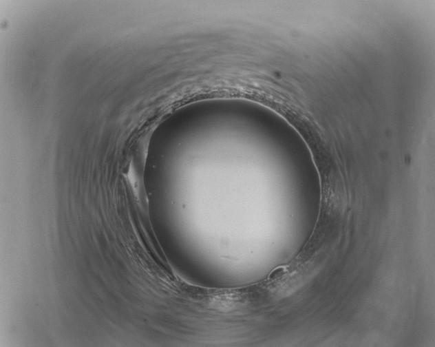 X0000061151490200511210948