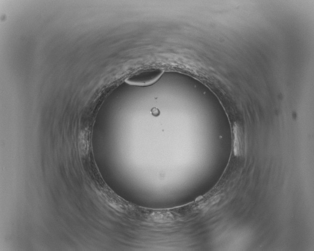 X0000061151491200511210948