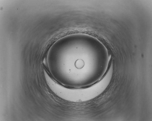 X0000061151492200511210948