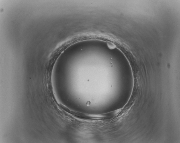 X0000061151494200511210948