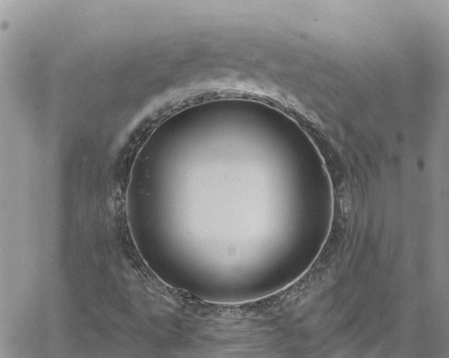 X0000061151495200511210948