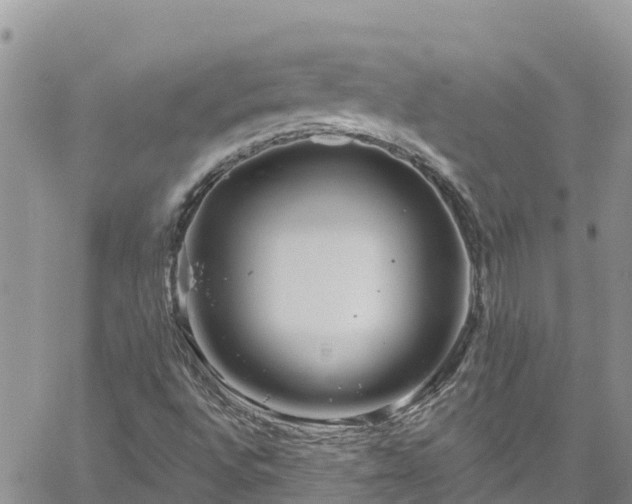 X0000061151496200511210948