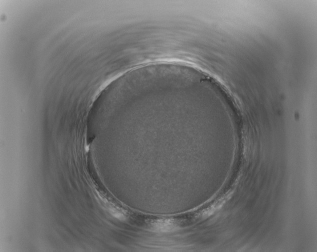 X0000061151497200511210948