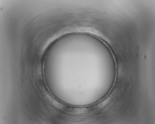 X0000061151498200511210948