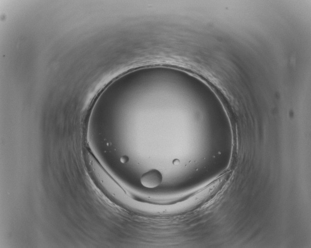 X0000061151500200511210948