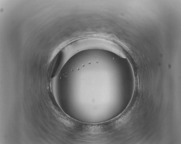 X0000061151501200511210948