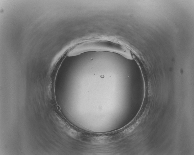 X0000061151502200511210948