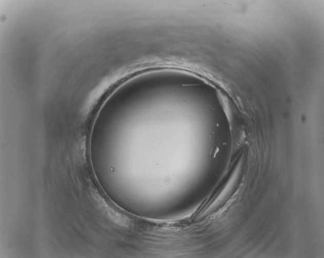 X0000061151503200511210948