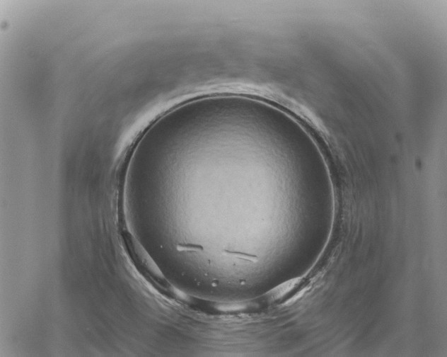 X0000061151504200511210948