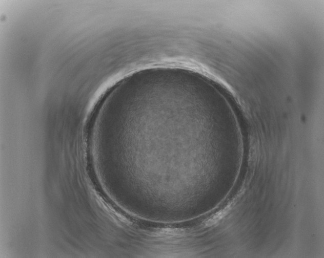 X0000061151506200511210948