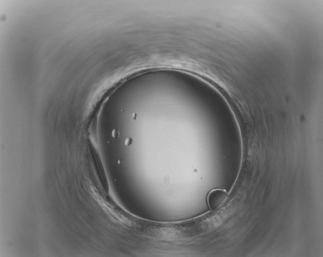 X0000061151507200511210948