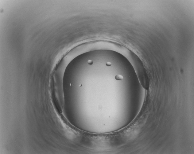 X0000061151508200511210948