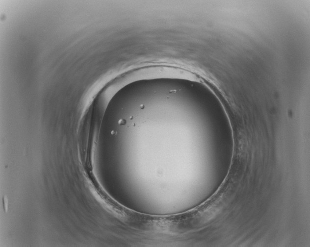 X0000061151511200511210948