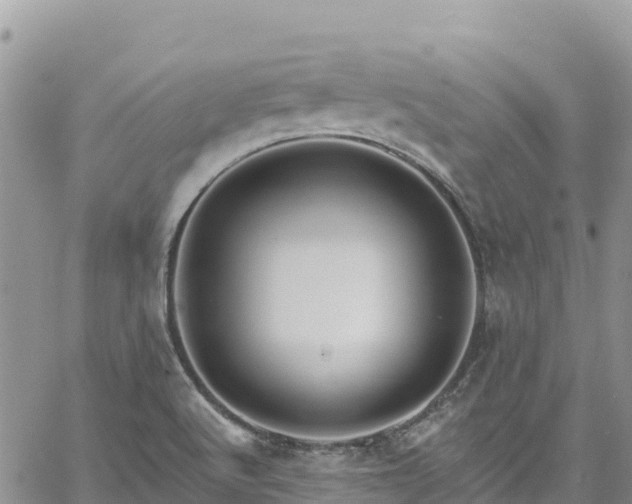 X0000061151512200511210948