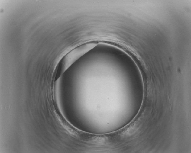 X0000061151513200511210948