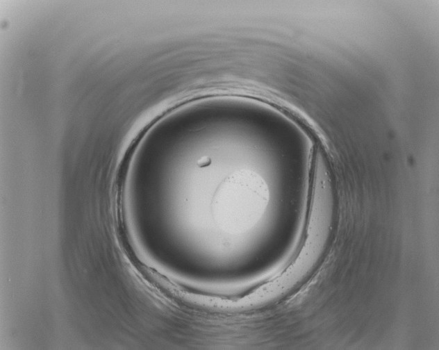 X0000061151514200511210948