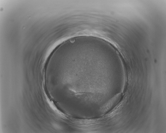 X0000061151515200511210948