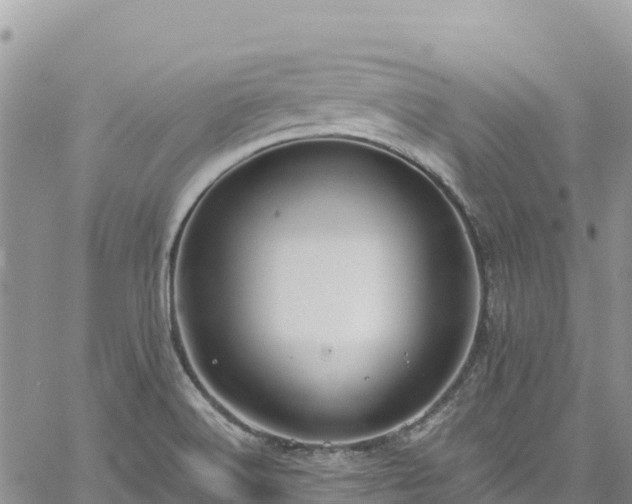 X0000061151516200511210948