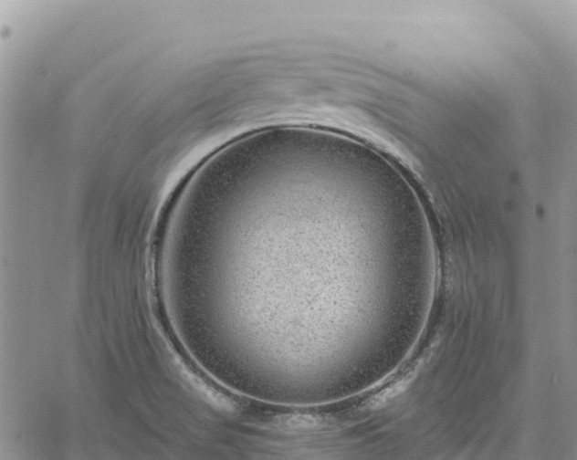 X0000061151517200511210948