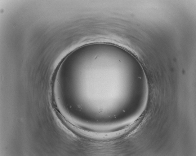 X0000061151518200511210948