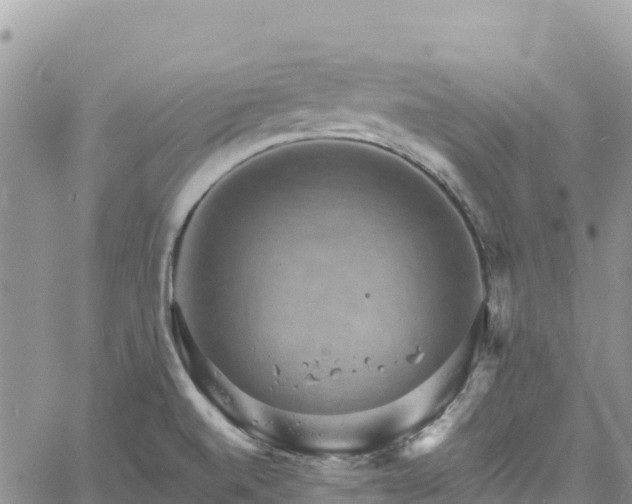 X0000061151520200511210948