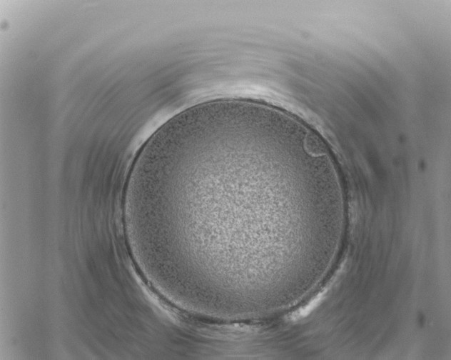 X0000061151521200511210948