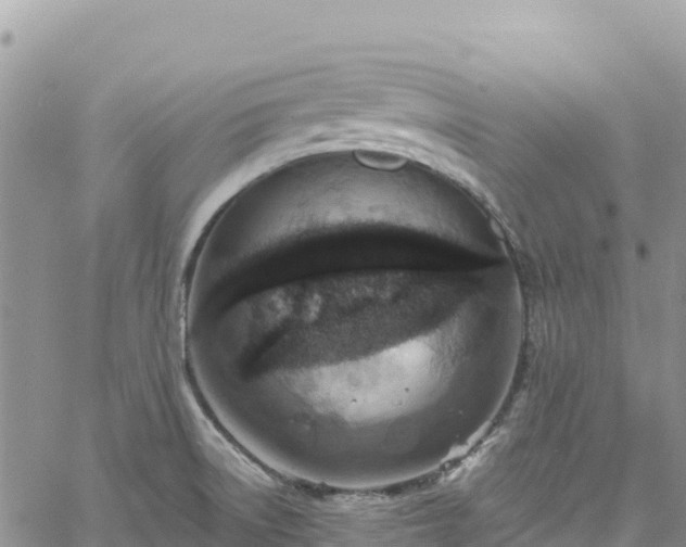 X0000061151522200511210948