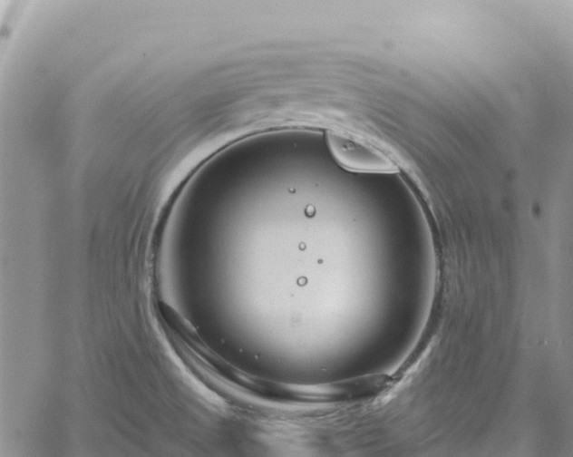 X0000061151525200511210948