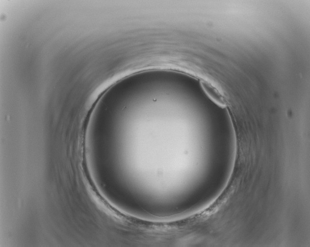 X0000061151526200511210948