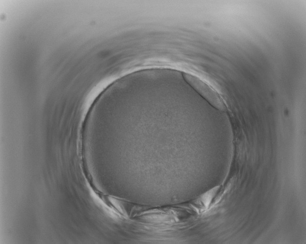 X0000061151527200511210948