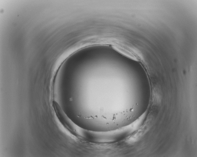 X0000061151528200511210948