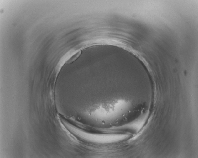 X0000061151529200511210948